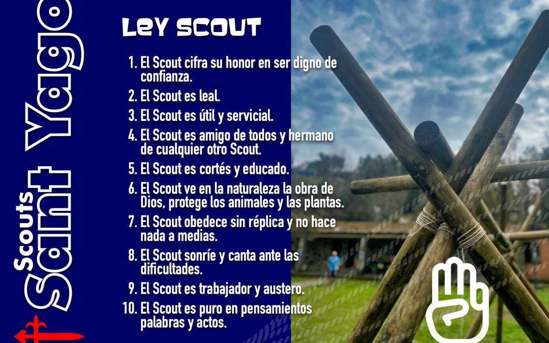 ¿Conoces la Ley Scout?