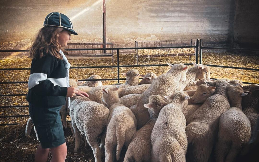 ¡Qué regalo de día! Primera jornada de la acampada de Castores y Lobatos