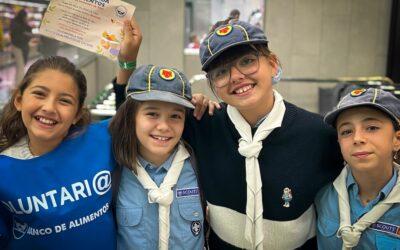 Castores y lobatos, con el Banco de Alimentos